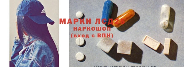 гидра Горно-Алтайск