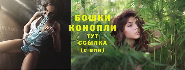 прущие грибы Гусиноозёрск