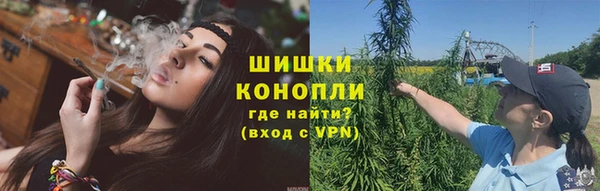прущие грибы Гусиноозёрск