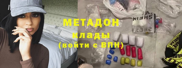 прущие грибы Гусиноозёрск