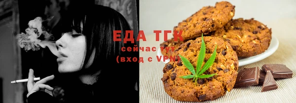 прущие грибы Гусиноозёрск