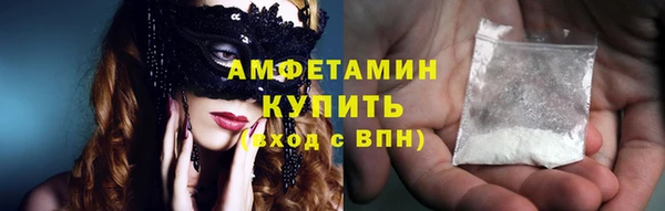 прущие грибы Гусиноозёрск
