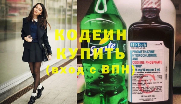 прущие грибы Гусиноозёрск