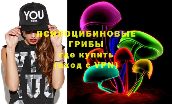 молекула духа Гусев