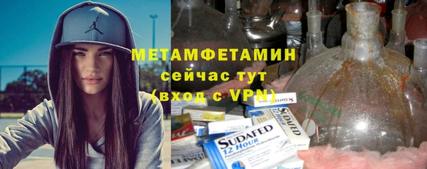 прущие грибы Гусиноозёрск