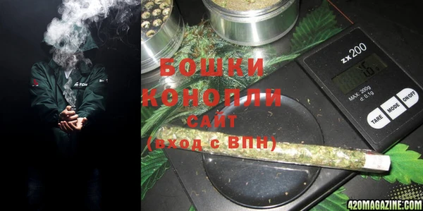 молекула духа Гусев