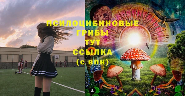 герыч Гусь-Хрустальный