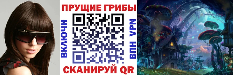 Псилоцибиновые грибы Psilocybine cubensis Зуевка