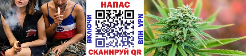 Бошки марихуана индика  Зуевка 